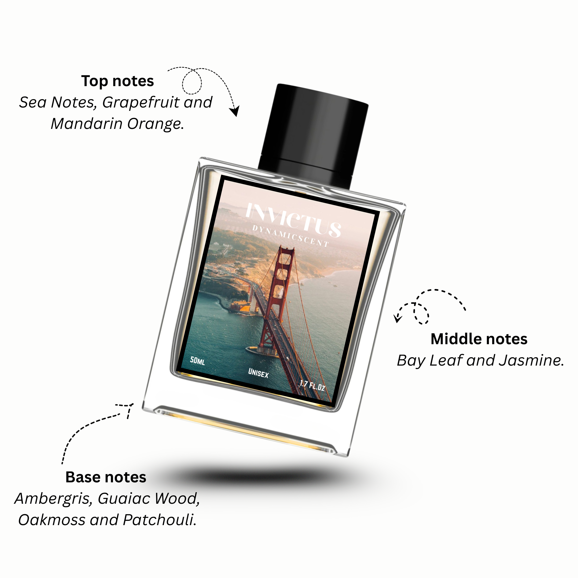 Invictus by Dynamic Scent - Unisex Perfume – 50ML